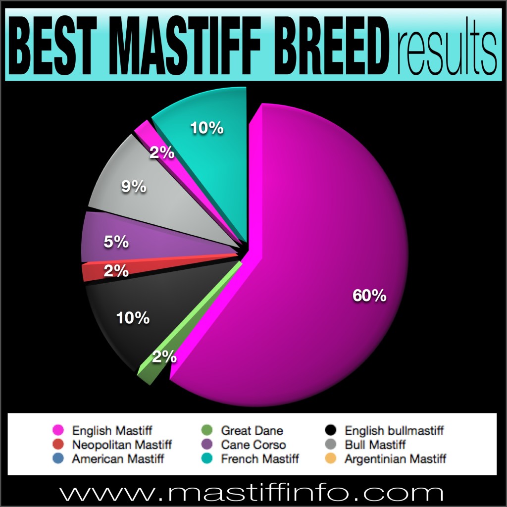 best mastiff breed