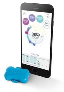 fitbit_for_dogs