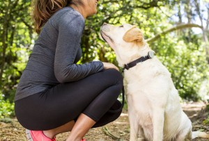 fitbit-for-dogs