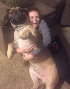 big-cute-dogs